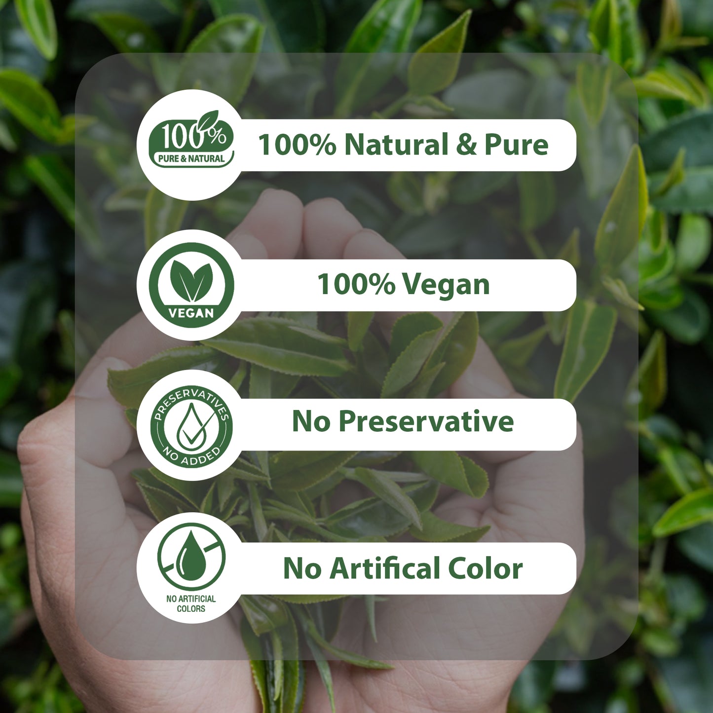 True Organic Premium Ceylon Black Tea, 100 Tea Bags