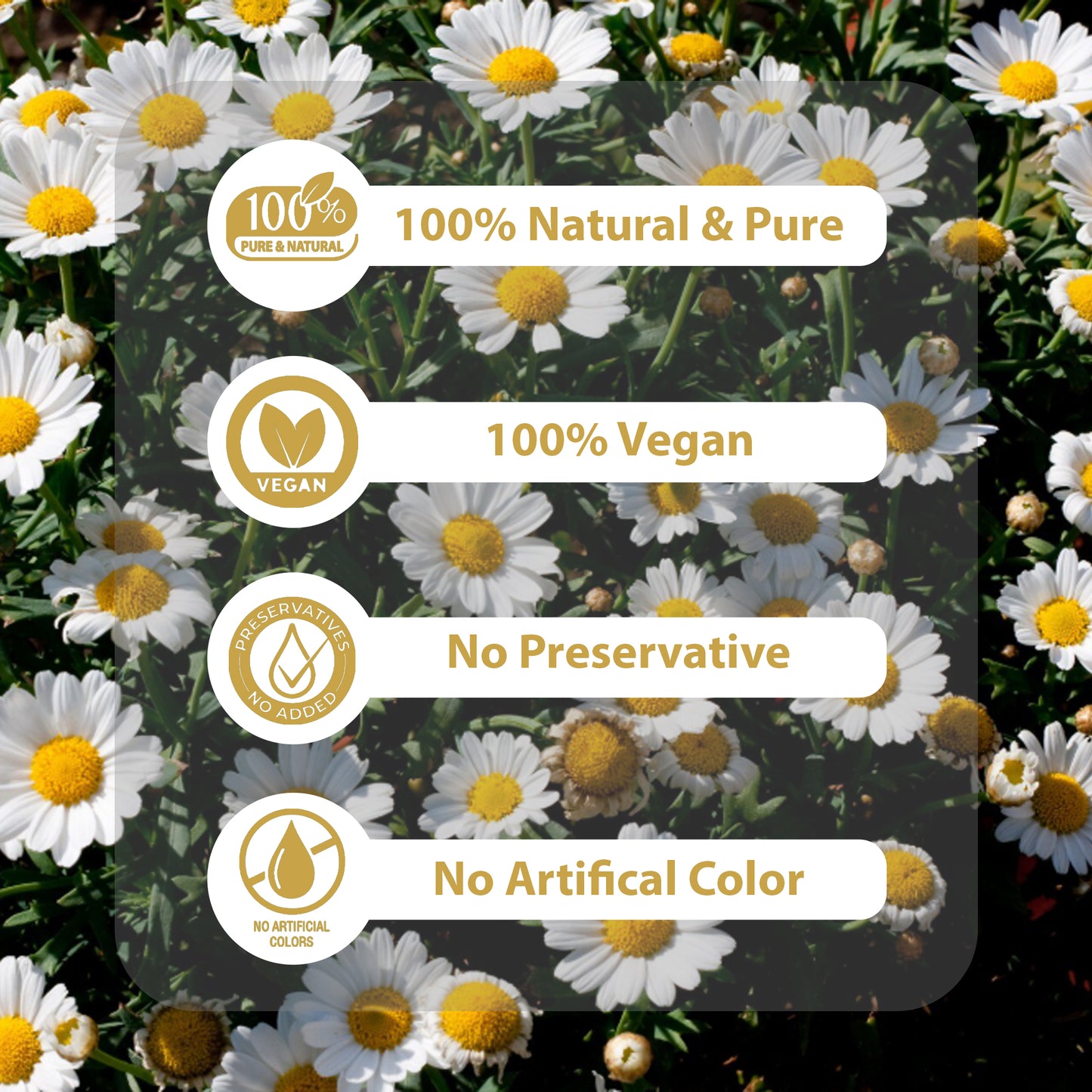 True Organic Chamomile Tea, 100 Tea Bags