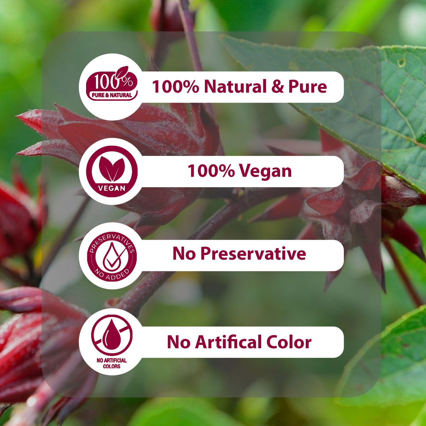 True Organic Hibiscus Tea, 100 Tea Bags.