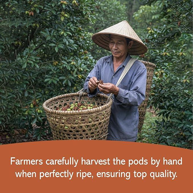 True Organic Star Anise 4 oz