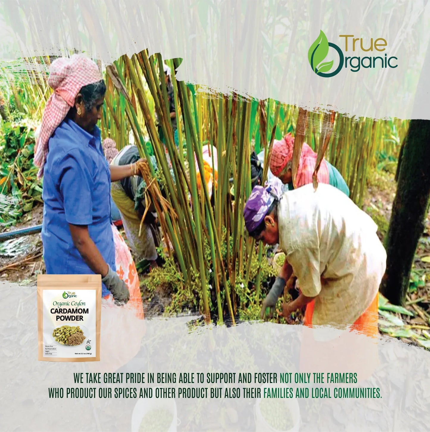 True Organic Cardamom Powder 3.5 Oz