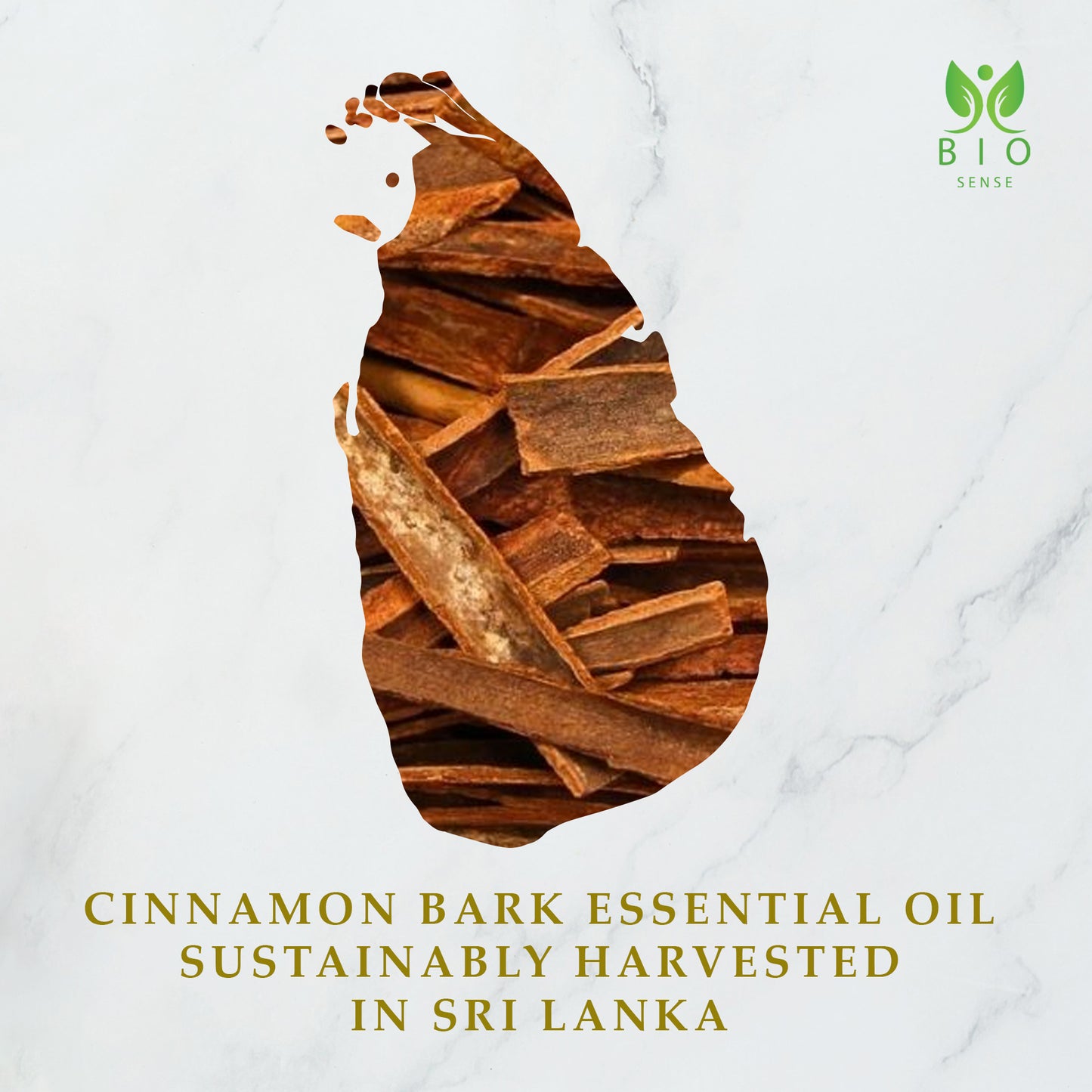 True Organic Cinnamon bark Oil 0.51 FL Oz (15 ml)