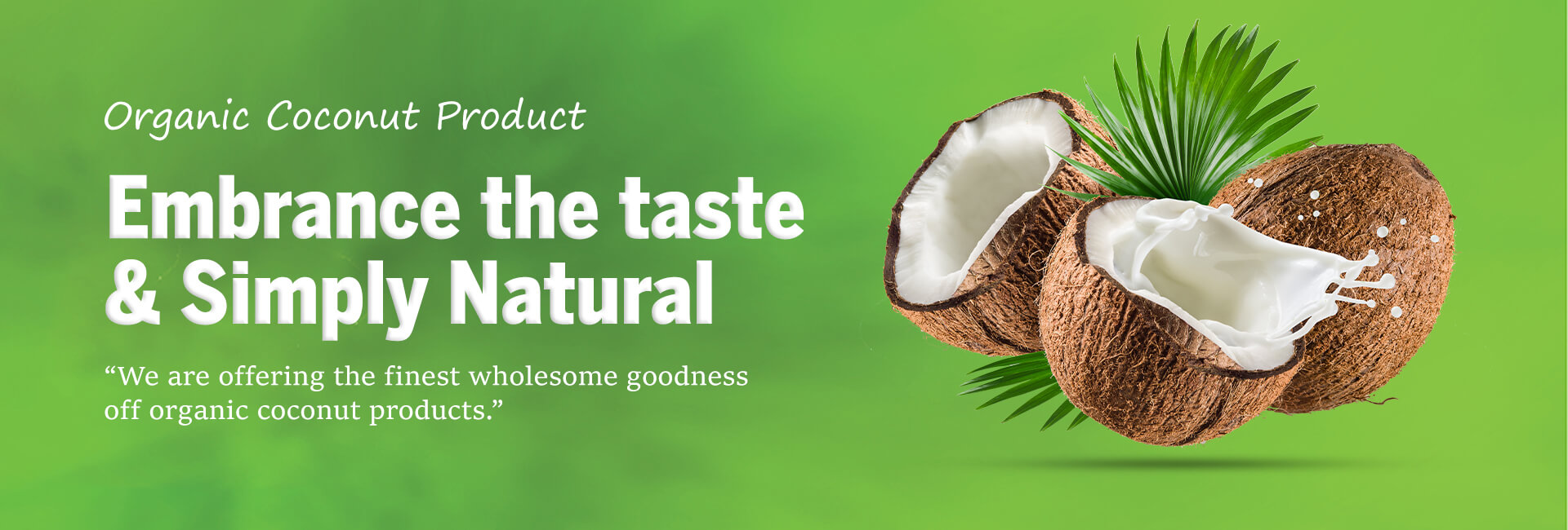 coconut web banner 4 (1)