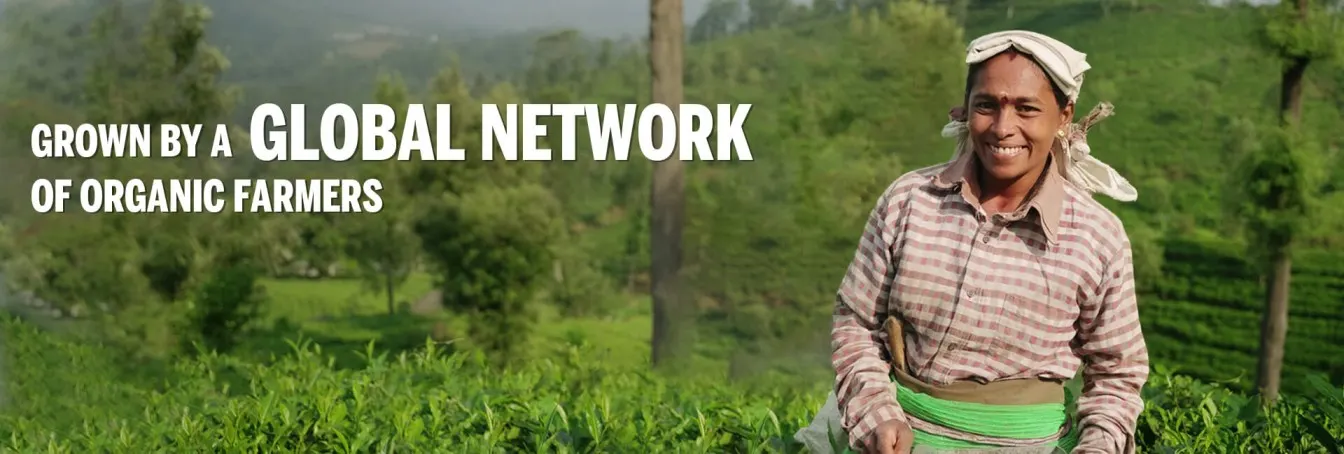 farmer web banner 1 (2) (1)