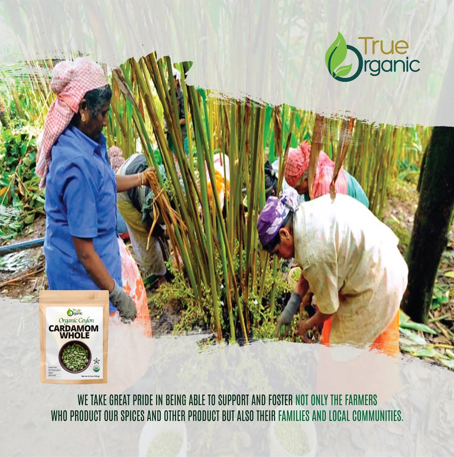 True Organic Cardamom Whole 3.5 oz
