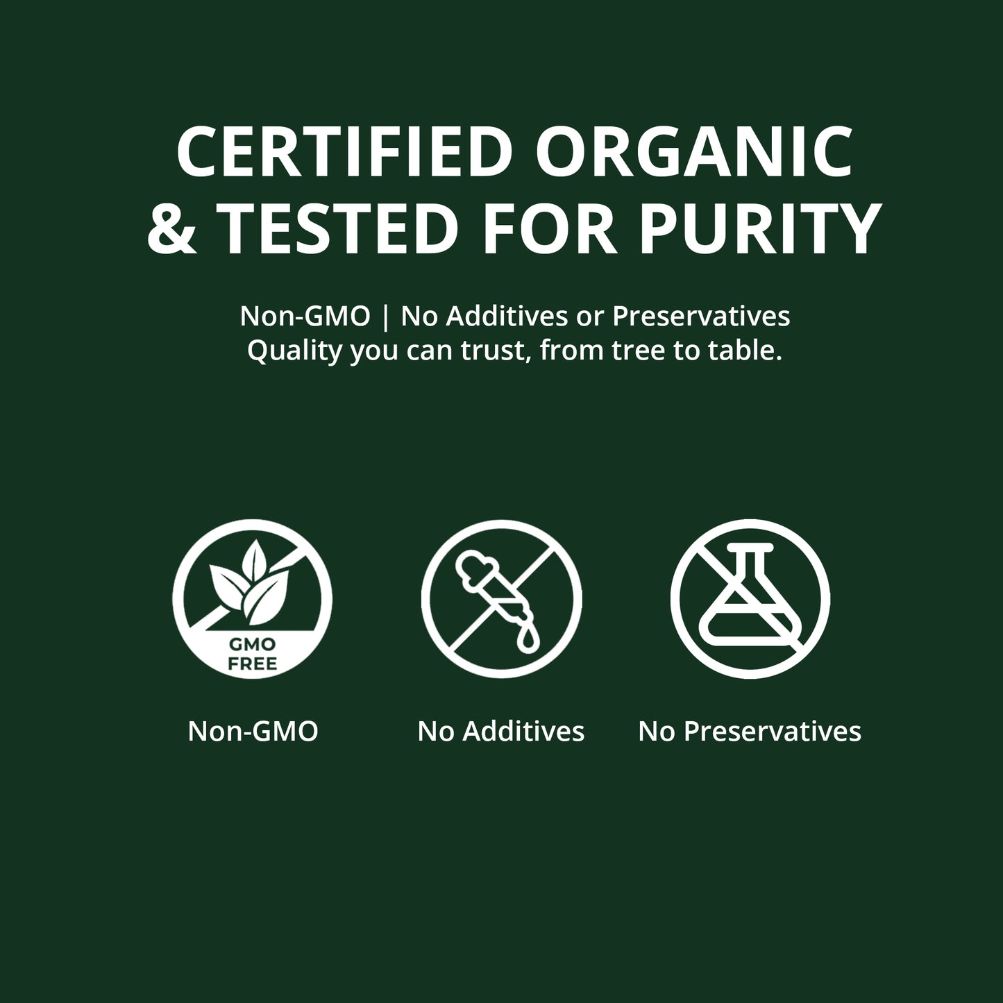 Premium Ceylon Cinnamon Powder 2.08oz